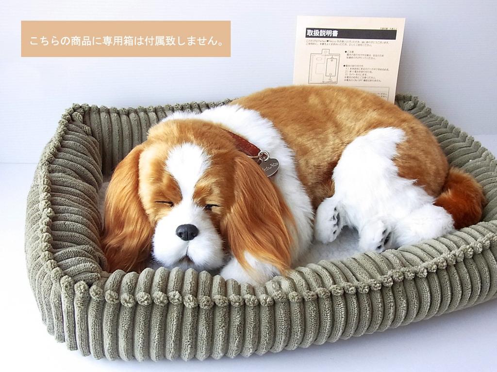Ninian and Kino Perfect Pet (Large) Cavalier King Charles Spaniel Plush Dog, Realistic, Lifelike, Animal-Like Stuffed Animal, Soothing, Moving,