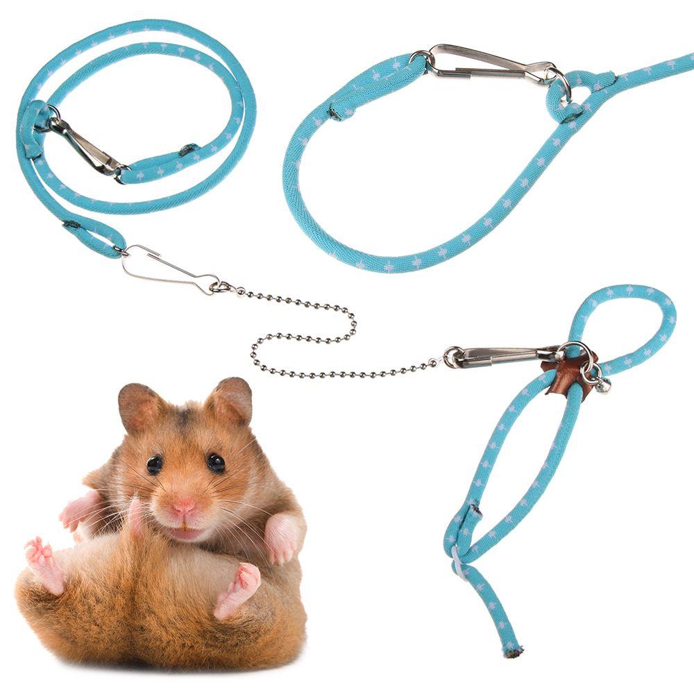 Pet Accessories Pet Pig Ropes Hamster Harness Ferrets Rat Leash Parrot Mouse Rope Bird Leashes