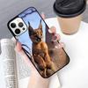 African Lynx Caracal Big Cat Mobile Phone Case Cover For iPhone 17 Air 15 16 16e 13 14 12 11 Pro Max Coque For Apple Plus fundas
