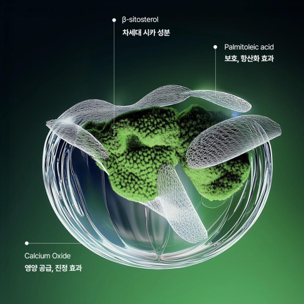 [Vemontes] AXCNE Бустер-крем 25мл