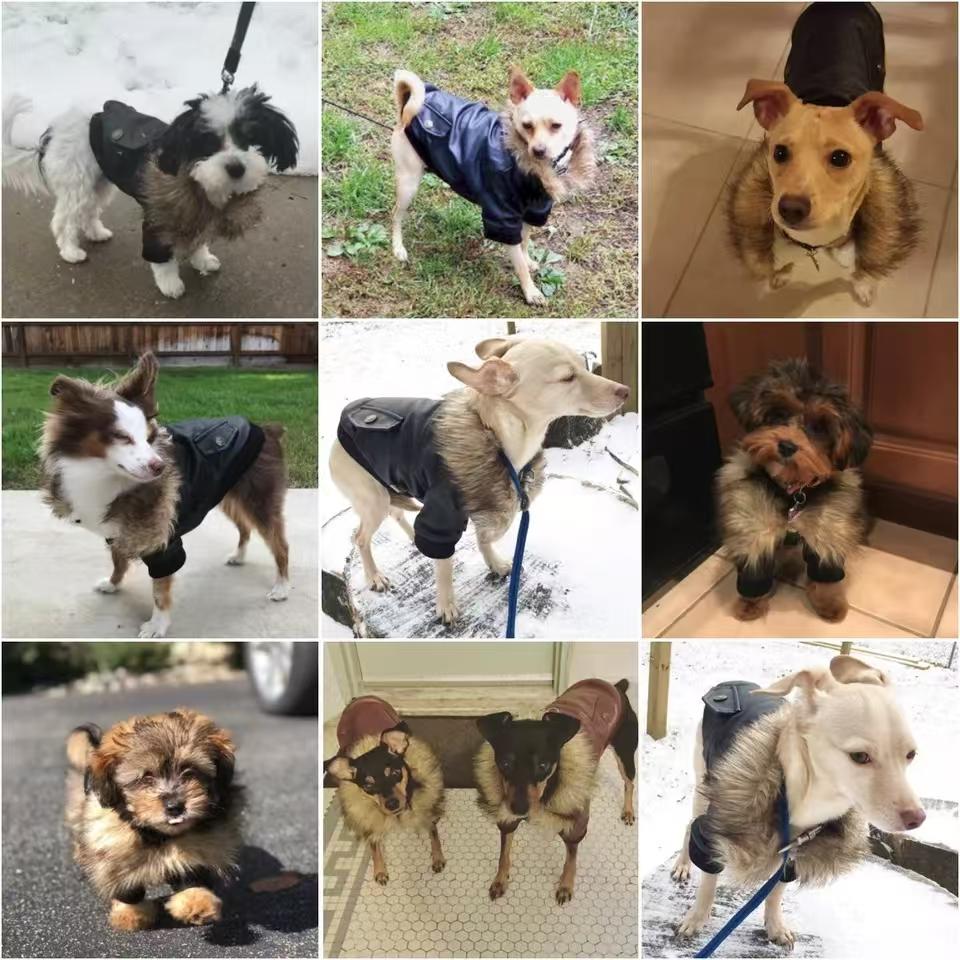 Кожаные пальто для собак Водонепроницаемое зимнее пальто для собак Куртки для щенков для маленьких и средних собак одежда для питомцев одежда для собак зимняя