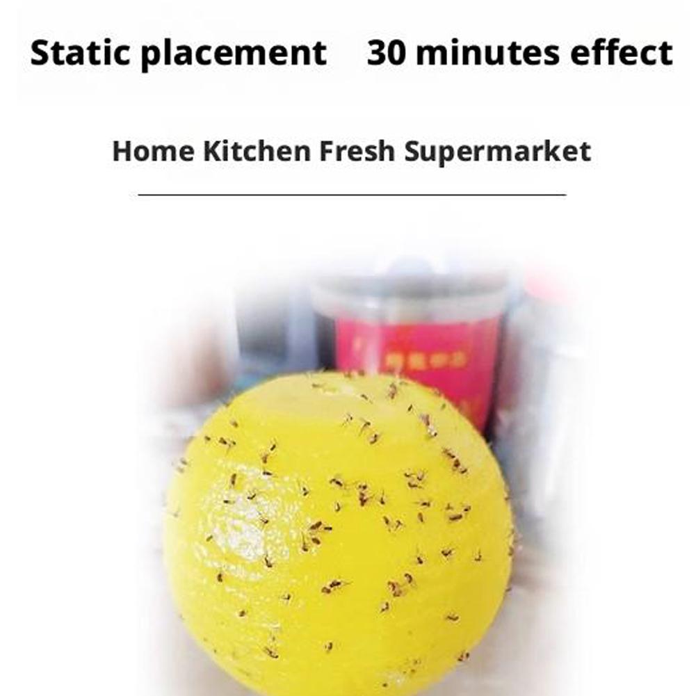 5pcs Ball Fruit Fly Catcher Pest Control Sticky Trap Insect Shaped Traps Insects Ball Citrus Fl N7I3