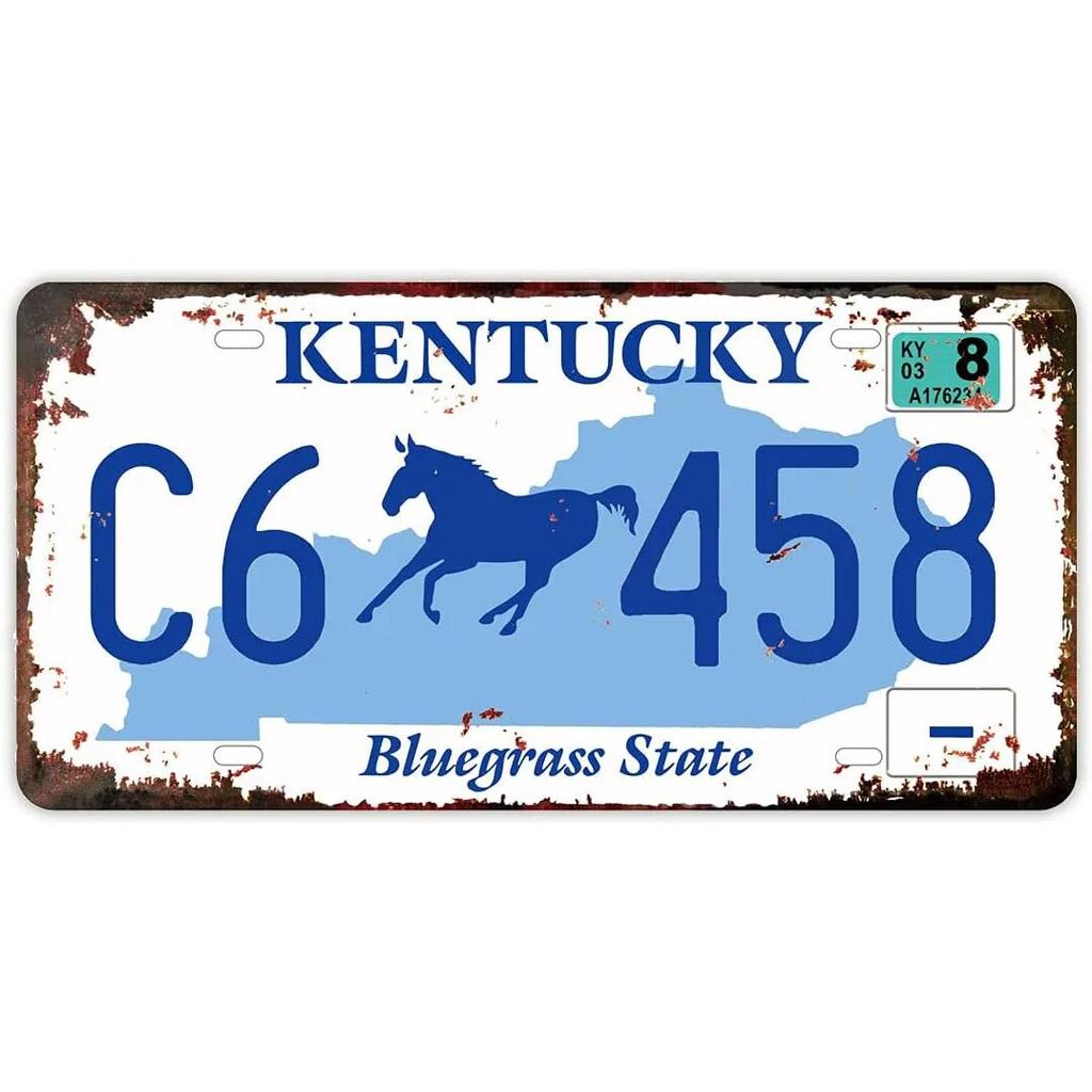 License Plate USA Retro Car Metal License Plate Novelty Wall Decoration Auto License Plate Signs Front Cover Garage Cafe Pub Bar