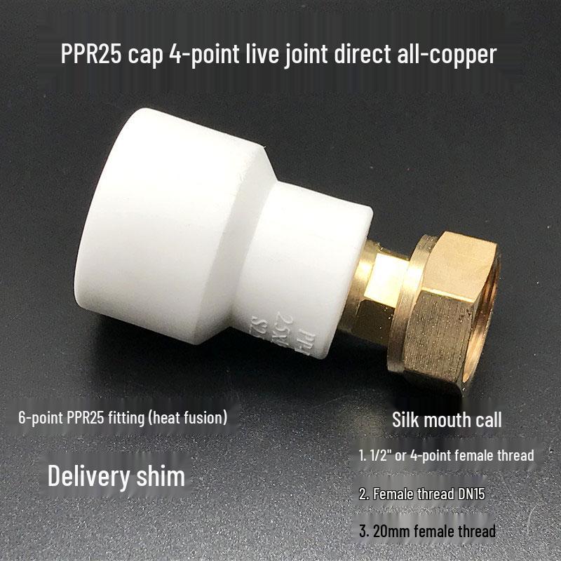PPR Water Heater Union Pre-Filter Connector: 25 To 1 Inch, 4-6 Points, 32 Straight Elbow, Copper Water Pipe Fittings