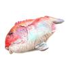 Ultra-Realistic Life-Sized Red Sea Bream Plush Toy Cushion 80cm Jigging Figure Toy Fish Display