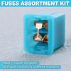 LEONTOOL 30PCS Auto Thin Box Fuse Kit Fuse Set 20A 30A 40A 50A 60A