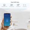 Умный Bluetooth и WiFi контроллер газового/водяного клапана