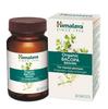 Organic Bacopa (Brahmi) I For Mental Alertness I Improves Memory Score by 30%* I 100% Natural I Pack of 3 X 30 Capletsp