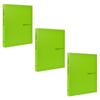 Эко Чхонвун А4 Эко Мини-папка на 3 кольца, Ёнду, 3 шт.