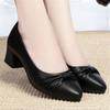 Spring Autumn Woman Shoes 2025 Shallow Mouth Elegant Office Shoes Female Pumps Fashion Black Women Work Shoes Size 35-42