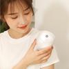 Shangheng Head Massager CN plug (adapter included)