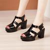 Beach Platform Sandals Patent Leather Shoes 2024 Summer Elegant Block High Heels Sandals Women for Office Mom