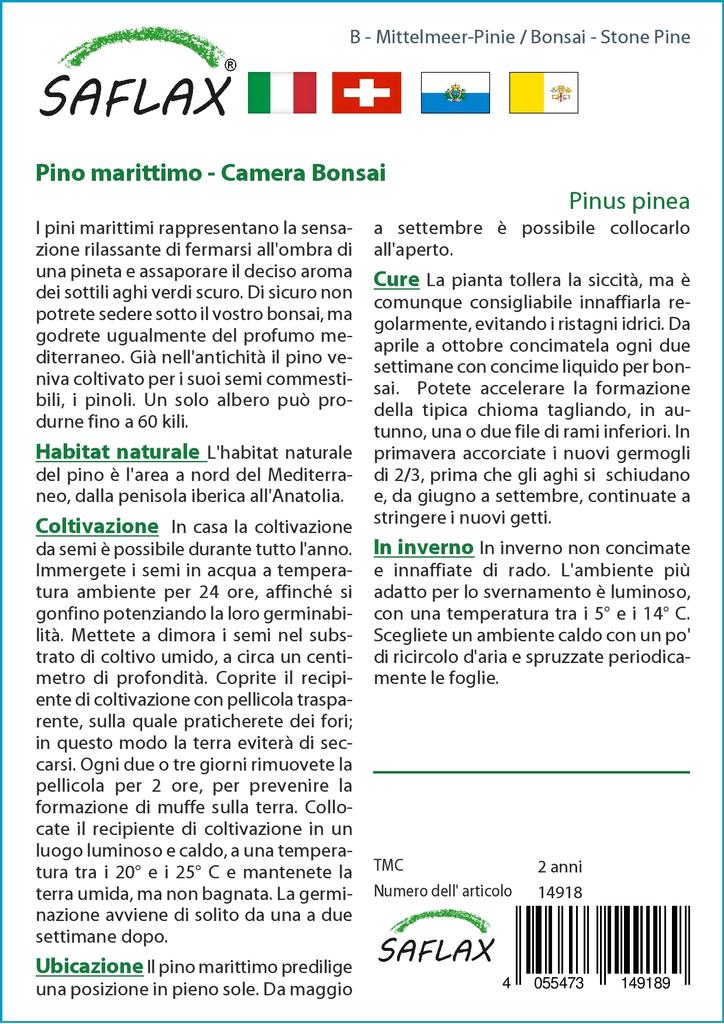 SAFLAX Garden in the Bag - Бонсай - Кедровая сосна - 6 семян - С субстратом в подходящем мешке-стойке - Pinus pinea
