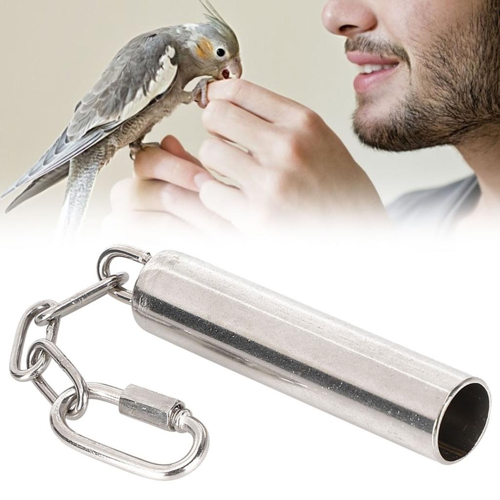 Squirrel Bells Stainless Steel Bells Toys for Birds Large Parrot African Greys Macaws