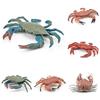 High Quality Imitation Crab Figures Unique Designs For Collectors And Coastal Decor Enthusiasts