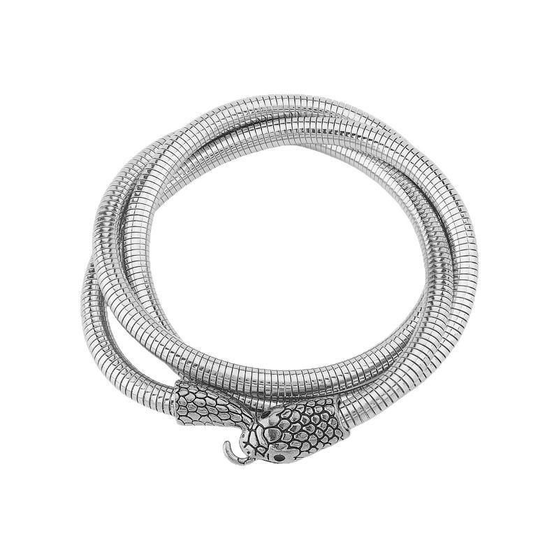 Winding Serpentine Niche Design Sense Personality Collar Bracelet Hip Hop Style Collarbone Chain Accessories
