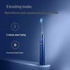 Flyco FT7205 Sonic Rechargeable Electric Toothbrush