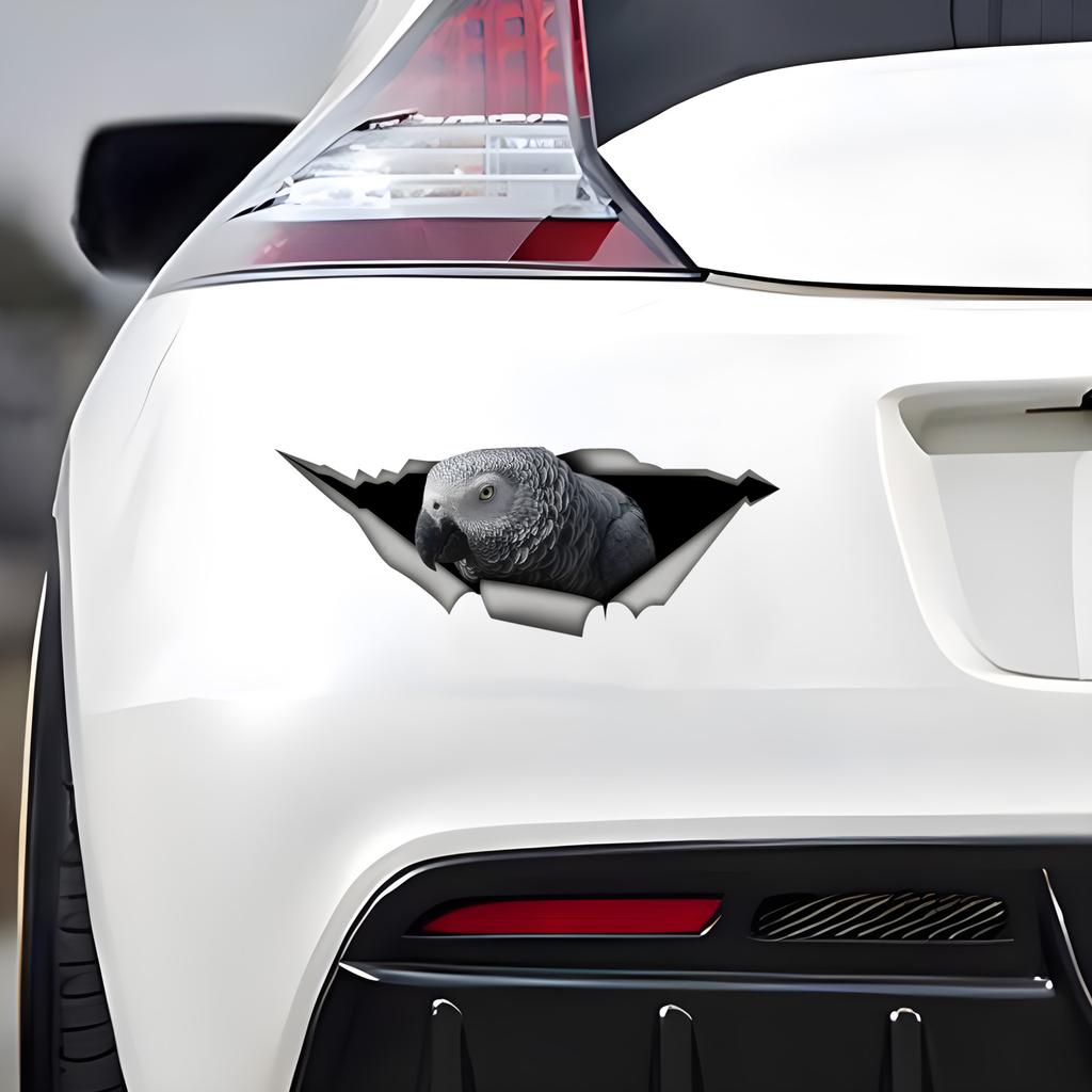 Африканский серый попугай 3D наклейка на автомобиль, забавная водонепроницаемая наклейка для автомобилей, грузовиков, мотоциклов, стен, окон, материал ПВХ