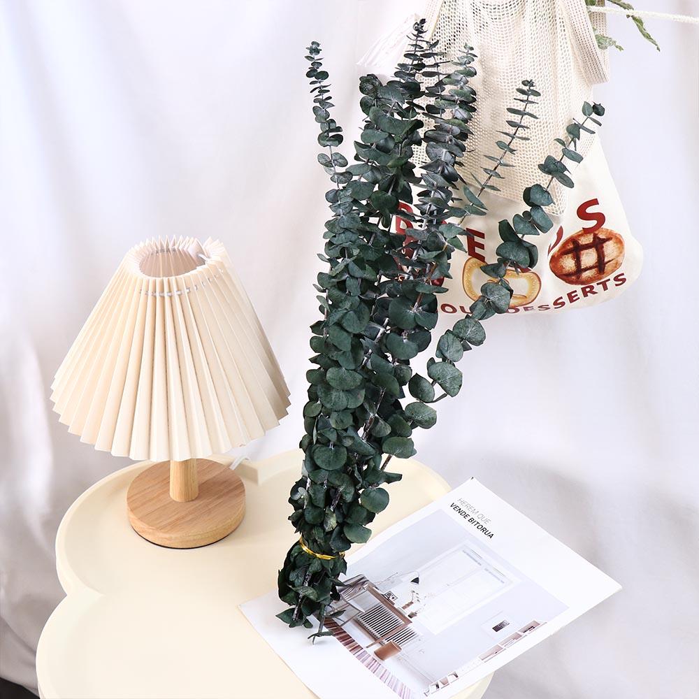 10 Pcs Real Leaves Hanging Dried Eucalyptus Large Home Decoration  Bathroom