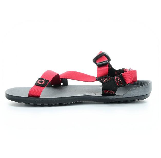 Сандалии Xero Shoes EU Z-trail