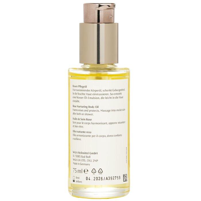 DR. HAUSCHKA Rose by Oil