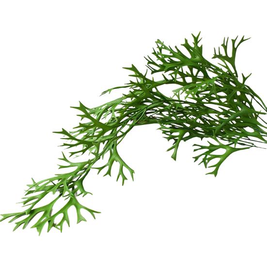 Ложный ротанг, настенный для свадьбы, долговечный, имитация папоротника, оленьего рога, зеленое растение, красивое украшение для дома, не выцветает