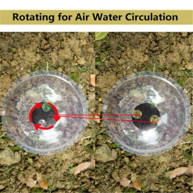 Крышка колокольчика для растений, купол, антифриз, прозрачная защитная крышка, мини-теплица, садовое растение на открытом воздухе