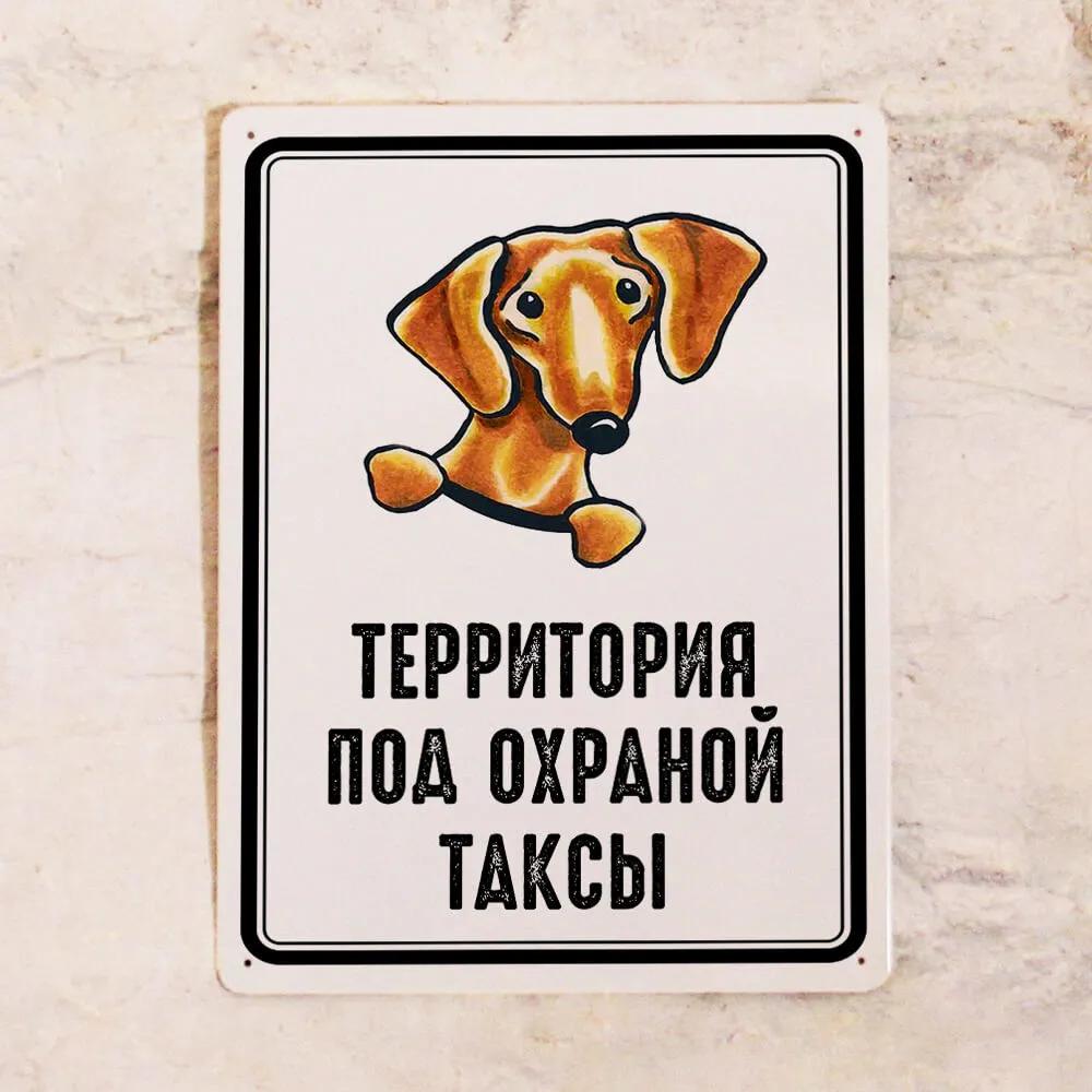 Металлический знак Территория под контролем таксы, металл, 20x30 см