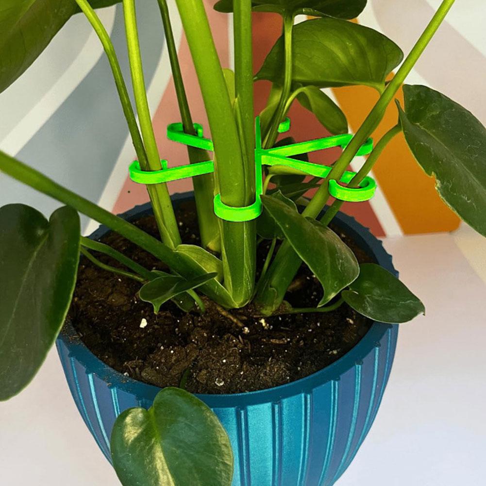 Plant Stem Support Alocasia Monstera Leaf Support Vine Clips Grow Plants And Upright Healthier N6K7