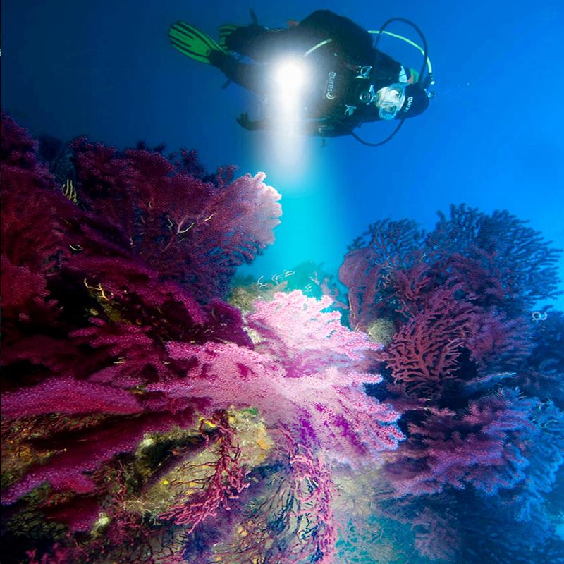 Профессиональный фонарь для дайвинга IPX8 Dual-Wick с магнитным переключателем, фонарь для дайвинга XHP160, переносной фонарь для дайвинга, уличный фонарь