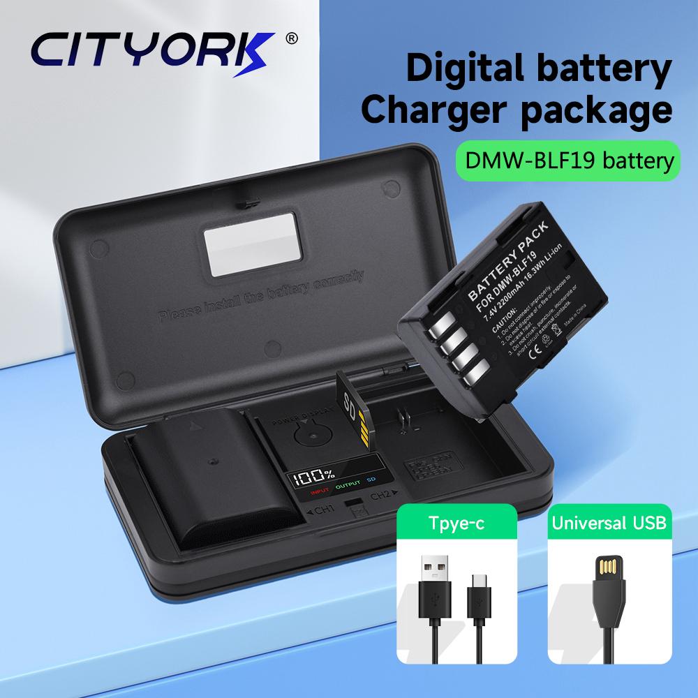 DMW BLF19 DMW-BLF19E dmw blf19 Батарея для камеры BLF19 BLF19E + коробка для хранения ЖК-дисплея с двойным зарядным устройством для Panasonic Lumix GH3 GH4 GH5 G9GK