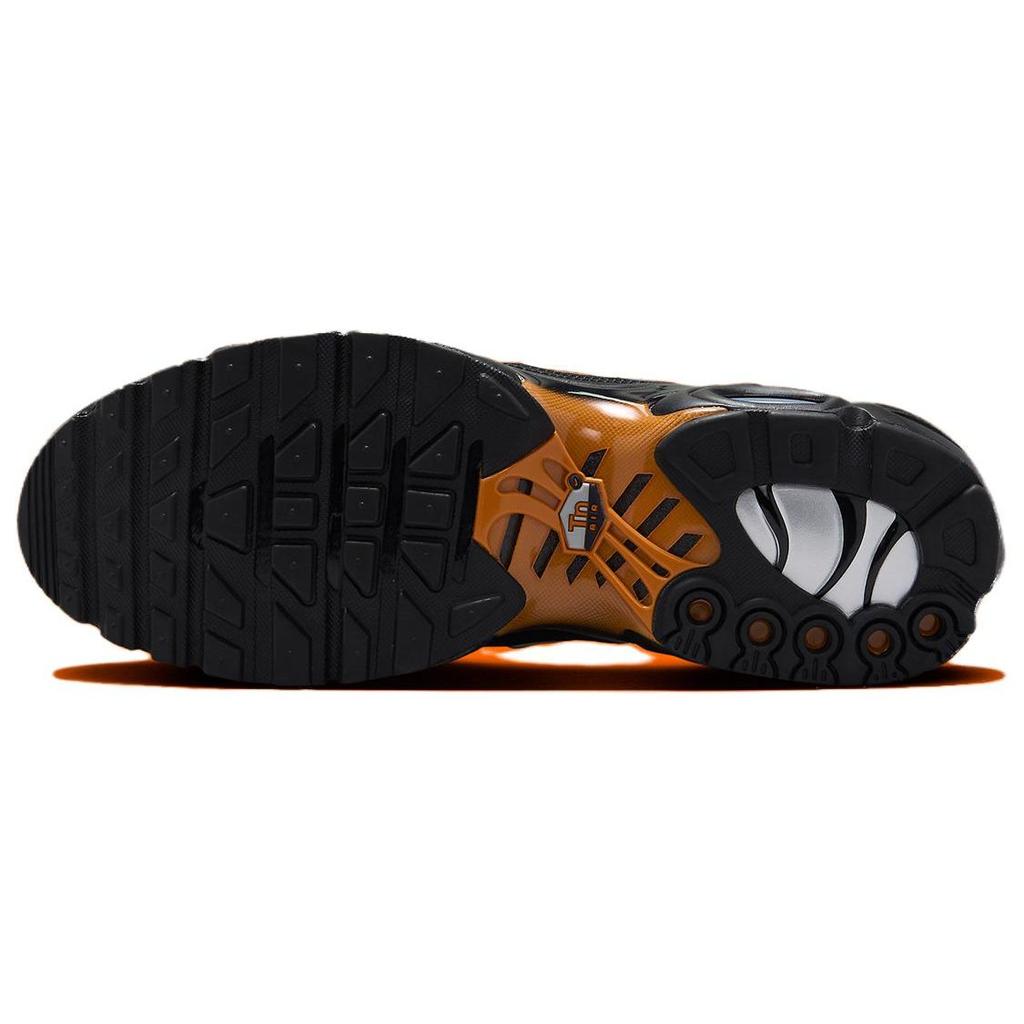 Nike Air Max Plus Dark Obsidian Monarch Men Sneakers Blue Black White FN6949-400