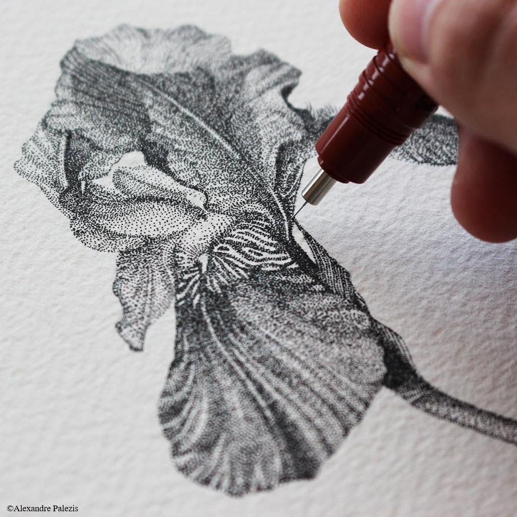 rOtring Drafting Pen Isograph 1903399 Genuine Imported Product 0.3mm