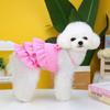 New Pet Clothes Spring and Summer Dog New Skirt Dog Clothing Teddy Small Dog Skirt Candy-colored Layered Skirt