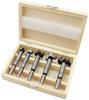 16-Piece Woodworking Drill Set: Includes Round Punch, Hinge Drill, Multi-Tooth Flat Wing Drill, Reamer & Door Lock Tools.
