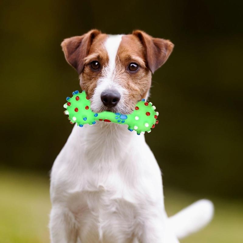 Multifunctional Squeaker Dumbbell Animal Toy Play Training Natural Rubber Squeaky Chew Toy