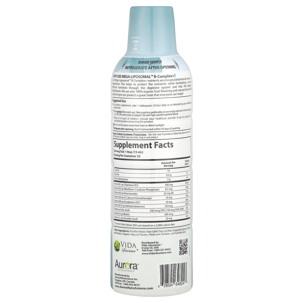 Mega-Liposomal B-Complex+, Organic Fruit Flavors, 480Ml(16Fl Oz)