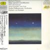 LP Record KARAJAN, BERLIN PHILHARMONIC ORCHES - Strauss Also Sprach Zarathustra / T 4158531 DEUTSCHE GRAMMO Japan Obi Classical Used