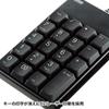 Sanwa Supply USB Numeric Keypad Black NT-17UBKN