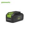 Беспроводной электроинструмент Greenworks Литиевая батарея Штепсель CN (адаптер в комплекте)