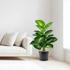 Искусственное зеленое растение в горшке Искусственная зелень Растение для помещений Напольное поддельное растение в горшке