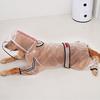 Pet Raincoat Puppy Four Feet Hooded Transparent Waterproof Teddy Large Dog Rain Out Clothes
