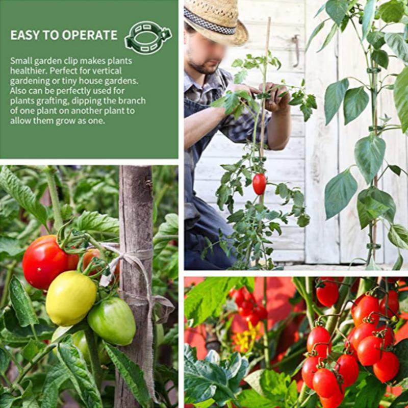 100 шт., зажимы для растений, пряжка, крючок, пластиковые опоры, соединяет многоразовый держатель, садовые принадлежности для овощей, помидоров