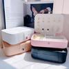 Jewelry Storage Box Earring Necklace Holder Large Capacity Multiple Compartments Lightweight Portable Jewelry