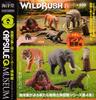 Capsule Q Museum WILD RUSH True World Zoological Journal IV Глава 4 Типы изданий Набор Азия/Тропики [5 (Полный Полный)]