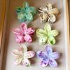Summer New Flower Hair Clip for Women Exquisite Marble Texture Gradient Color Headwear Shark Clip Fashionable Hair Accessory