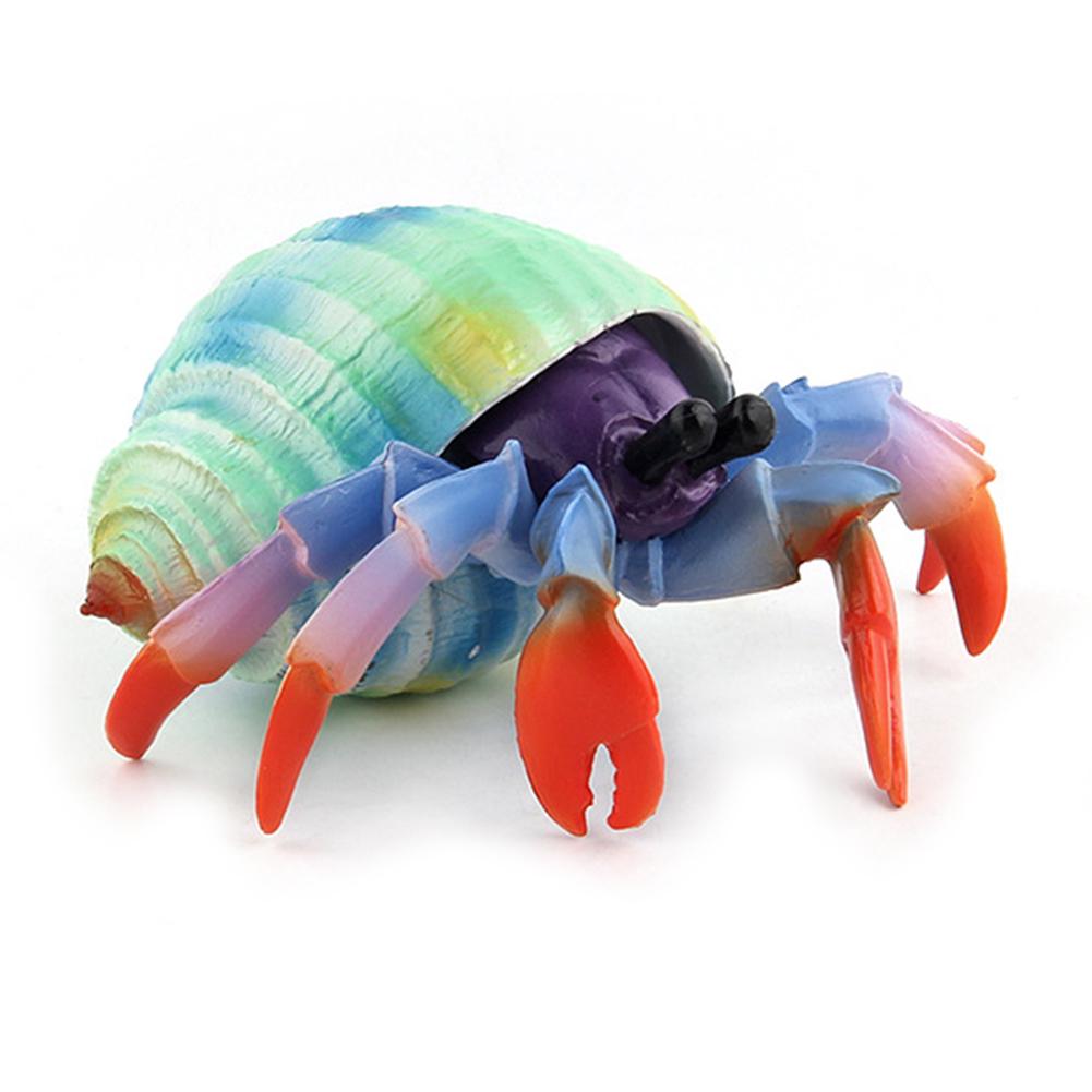 Puntos Kids Toy Simulation Hermit Crab Морское животное ПВХ Модель Настольный Декор Образование