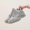 Mesh Surface Clunky Sneakers Women's Autumn New Breathable Female Student Sneaker Heighten Casual Shoes