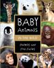 Книга Baby Animals In the Wild : Photos and Fun Facts