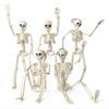 1/2pcs Halloween Skull Skeleton,Posable Skeleton,Human Shape Bones,Home Halloween Party Decorations,Haunted House Horror Props